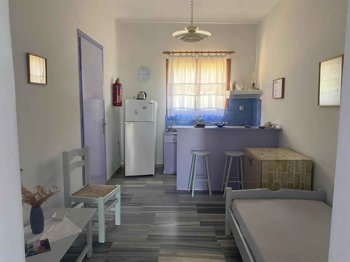 Stelios Zalonis Apartments Tinos ภายนอก รูปภาพ