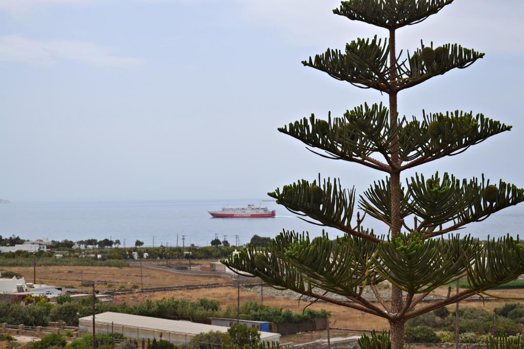 Stelios Zalonis Apartments Tinos ภายนอก รูปภาพ