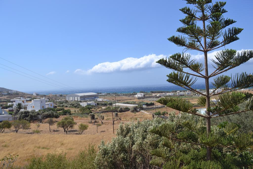Stelios Zalonis Apartments Tinos ภายนอก รูปภาพ