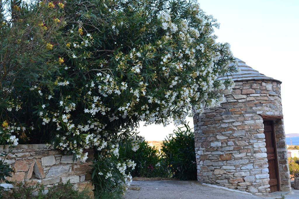 Stelios Zalonis Apartments Tinos ภายนอก รูปภาพ