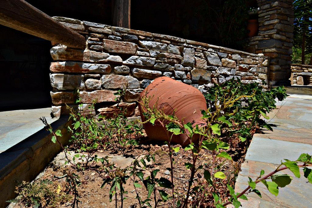 Stelios Zalonis Apartments Tinos ภายนอก รูปภาพ